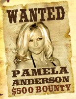 pamela anderson bounty